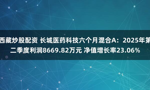 西藏炒股配资 长城医药科技六个月混合A：2025年第二季度利润8669.82万元 净值增长率23.06%