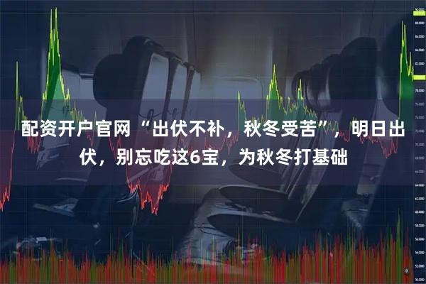 配资开户官网 “出伏不补，秋冬受苦”，明日出伏，别忘吃这6宝，为秋冬打基础
