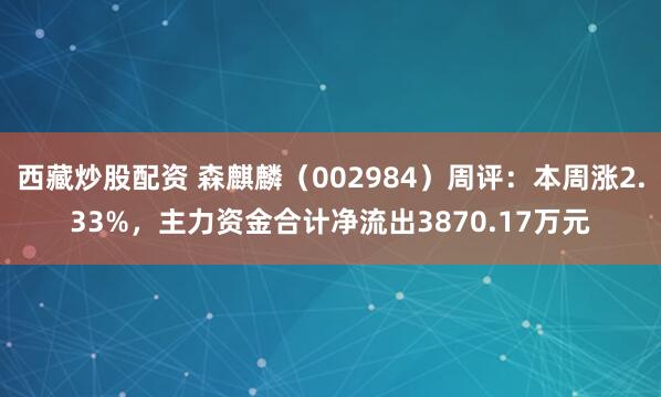 西藏炒股配资 森麒麟（002984）周评：本周涨2.33%，主力资金合计净流出3870.17万元