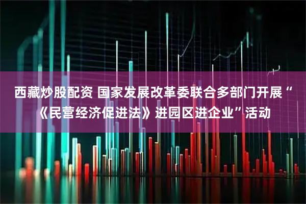 西藏炒股配资 国家发展改革委联合多部门开展“《民营经济促进法》进园区进企业”活动