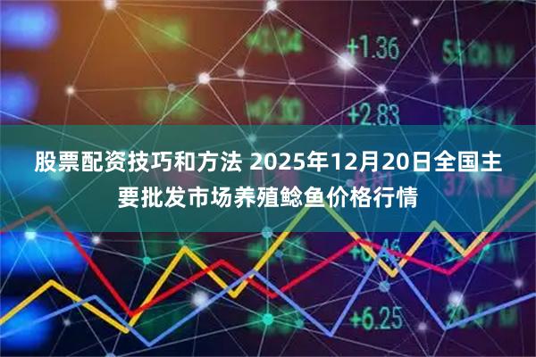 股票配资技巧和方法 2025年12月20日全国主要批发市场养殖鲶鱼价格行情