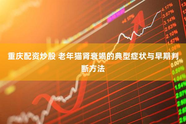 重庆配资炒股 老年猫肾衰竭的典型症状与早期判断方法