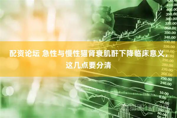 配资论坛 急性与慢性猫肾衰肌酐下降临床意义，这几点要分清