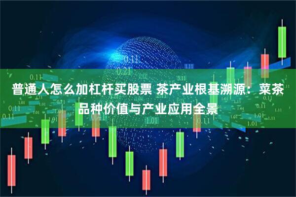 普通人怎么加杠杆买股票 茶产业根基溯源：菜茶品种价值与产业应用全景
